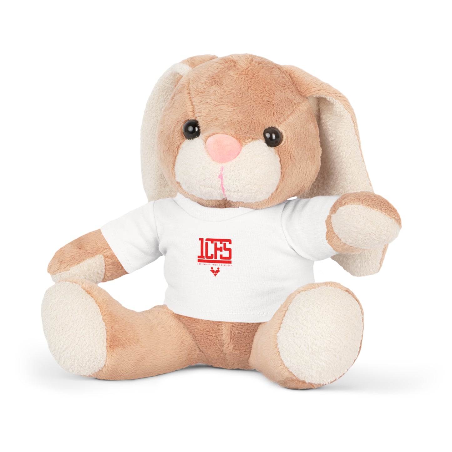 1CFS Bunny