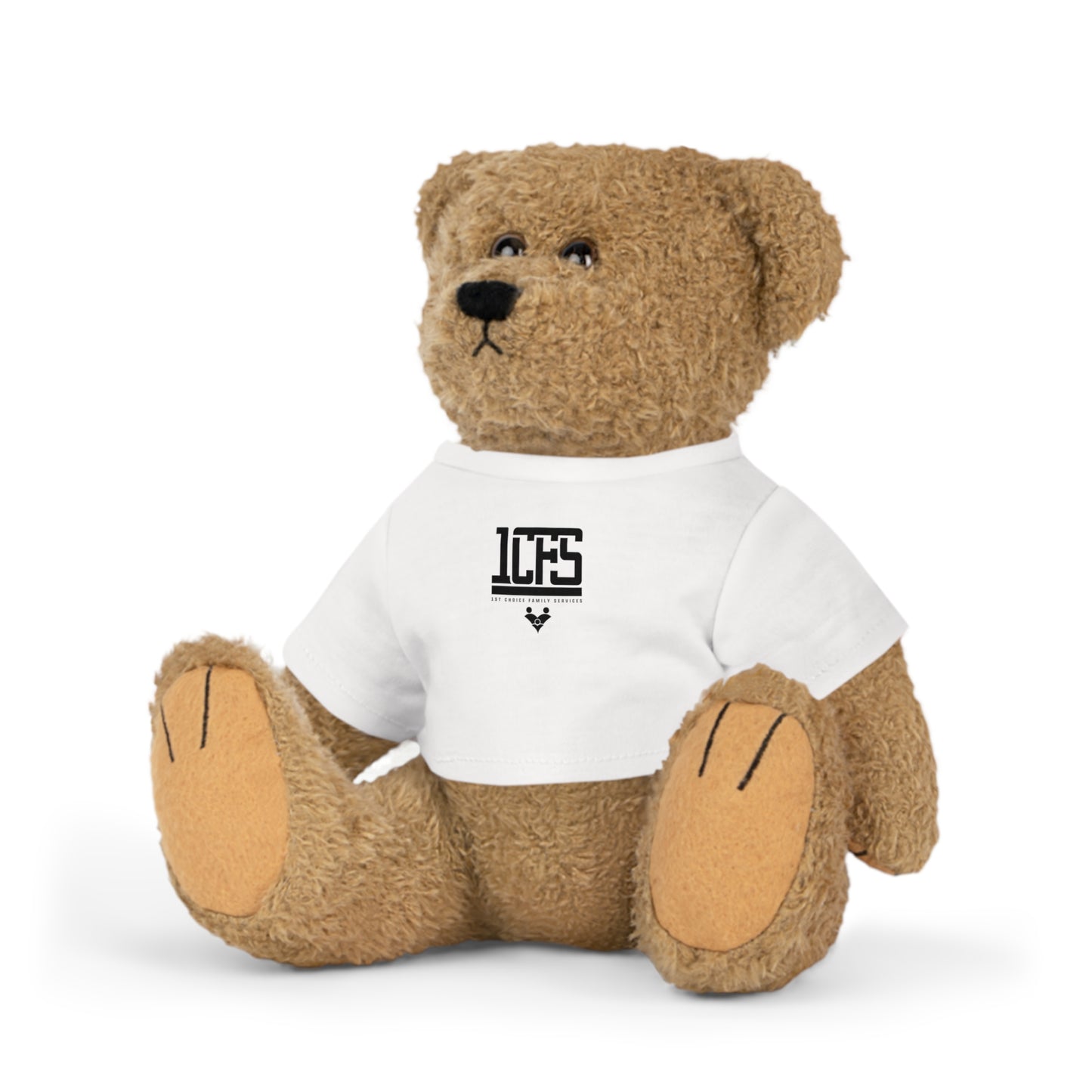 1CFS Teddy Bear